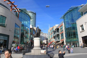Birmingham Skyline Apartment Bullring Central Walking Distance